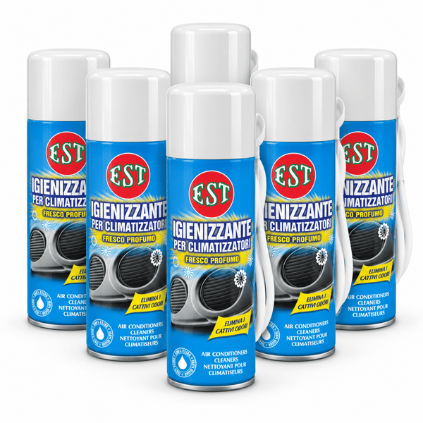 EST Igienizzante Climatizzatori 200 ml – Elimina Odori e Muffe – Confezione 6 Pezzi – Cod. 0952 - Techservice