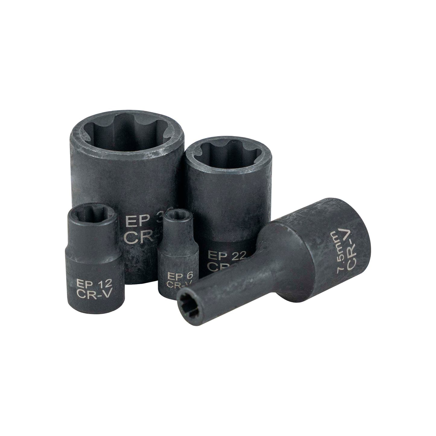 JBM VALIGETTA DI BUSSOLE TORX PLUS, 5 E 6 PUNTE, SPECIALE TESLA 55123