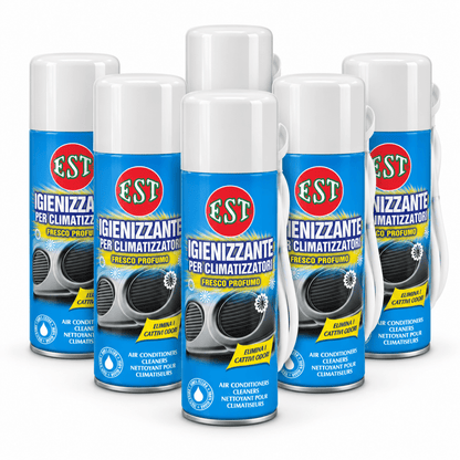 EST Igienizzante Climatizzatori 200 ml – Elimina Odori e Muffe – Confezione 6 Pezzi – Cod. 0952 - Techservice