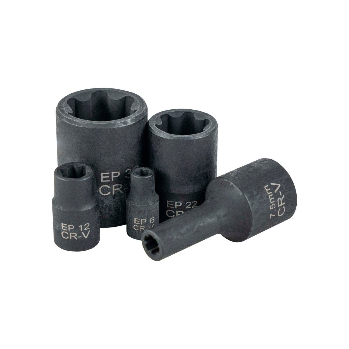 JBM VALIGETTA DI BUSSOLE TORX PLUS, 5 E 6 PUNTE, SPECIALE TESLA 55123 - Techservice